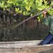 FISH4ACP-virtual-tour-puts-the-spotlight-on-women