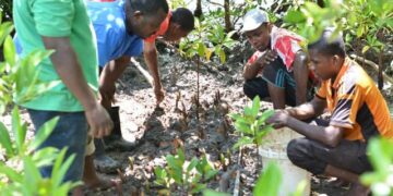 Zanzibar Volunteers for Environmental Conservation (ZAVECO)