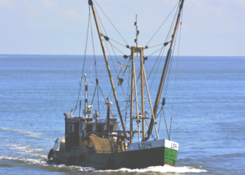 NGOs-applaud-ICCAT-decisions