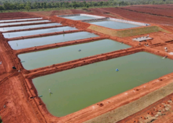Best management Practice in African Fish Farming