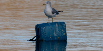 Guide to Best Practices for the Collection and Recycling of Plastic Waste from Fishing