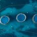 Malta. Tuna farms aim for growth