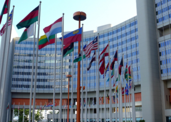 UN. MSC as global indicator for action on biodiversity loss