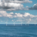 Amazon. A commercial-scale seaweed between offshore wind turbines