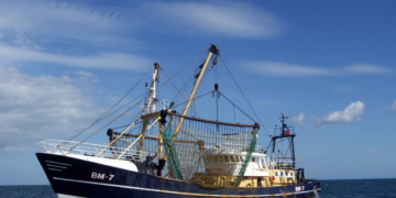 An equation quantifies the impact of bottom trawling