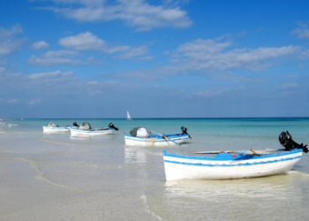 Fishing. Italy is the most important country for Tunisian fish exports