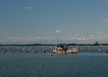 Aquaculture. Tunisia is capable of doubling its production in the next two years