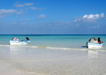 Russia Looks to Tap into Tunisia's Thriving Fish Market