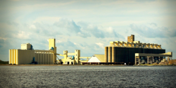 The Netherlands launches 11 online courses on sustainable and inclusive food systems