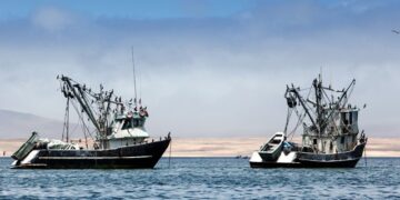 Calls for Transparency in Regional Fisheries Management Organizations to Protect Fish Populations