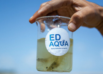 ED-Aqua. Collaborative approaches to promote Blue Economy and Aquaculture Development