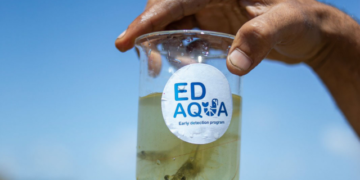 ED-Aqua. Collaborative approaches to promote Blue Economy and Aquaculture Development