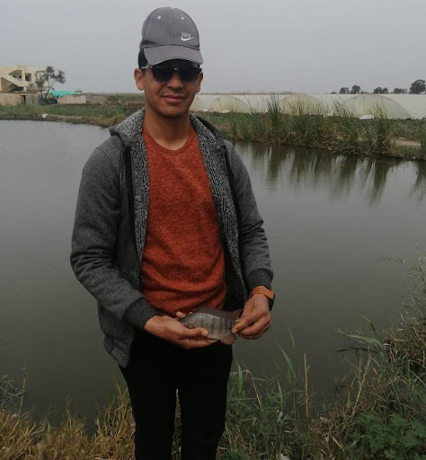 Figure 1 Tilapia Farming in Kafr El-Shaikh Egypt