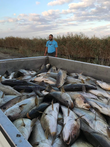 Mariculture farm in Mediterranean coast of Egypt - Gamal Elnagar Farm, Damietta