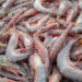 Methods for shrimp farming: a challenge for Blue Economy in Egypt and Africa