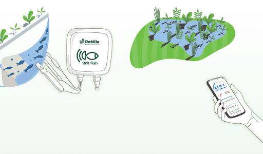 ReNile Startup in Egypt for Smart farming using the internet of things (IoT)