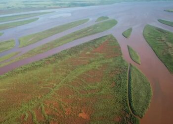 Unima Distribution, an African company based in Madagascar, was awarded at the 2023 Seafood Expo Global