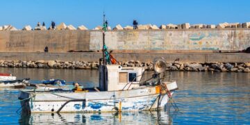 Algiers, fisheries: installation of a multisectoral working group to strengthen the social protection of professionals