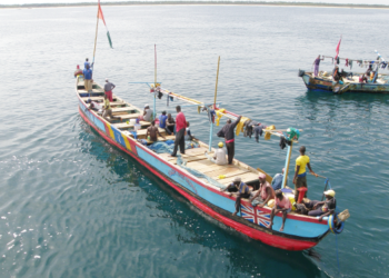 FAO supports Côte d'Ivoire in improving its legal framework for fisheries