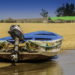 The Devastating Human Impact of Overfishing in Gambia