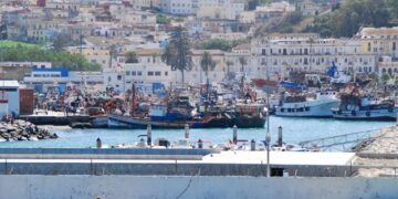 Morocco uses its links with Israel to improve water and food security