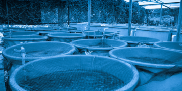 Empowering Cameroon's fish farmers Aller Aqua and MAVECAM partner for successful seminars