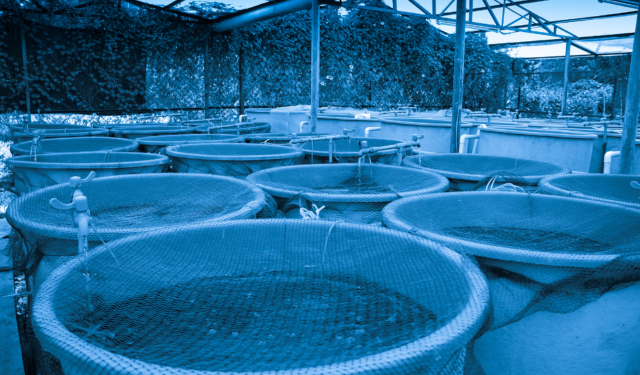 Empowering Cameroon's fish farmers Aller Aqua and MAVECAM partner for successful seminars