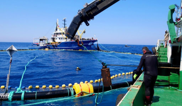 Figure 1 Bluefin tuna from fishing to mariculture cage