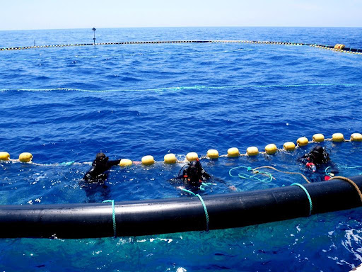 Figure 3 tuna capture from floating cages
