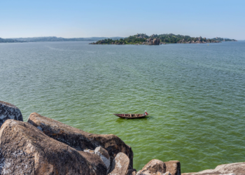 Victory Farms: Developing sustainable aquaculture on Lake Victoria
