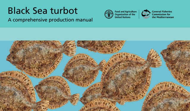 CGPM presents “Black Sea rombot: A complete production manual”