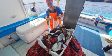 PESCATOURISM DOMENICO & SALVATORE: SEA-RELATED EXPERIENCES IN FAVIGNANA ISLAND – ITALY