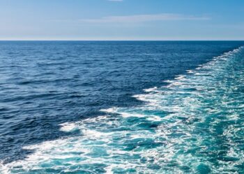 Alternative engines for sustainable shipping on the way