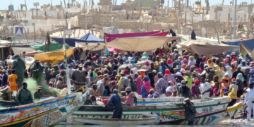 Senegal Mauritania authorises the capture of 50,000 tonnes of fish in its maritime waters