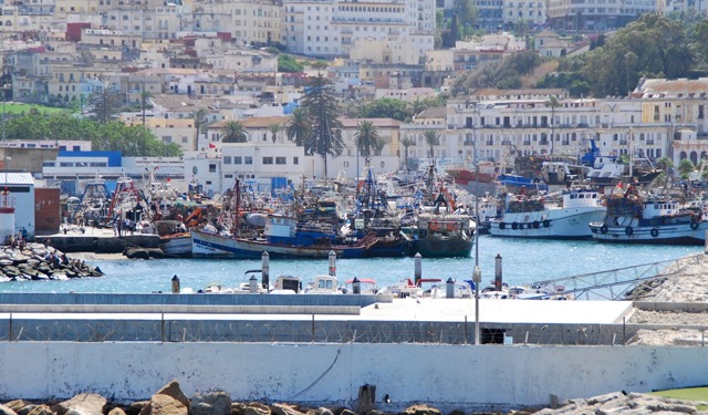 Aquaculture: ANDA, orchestrator of projects in the sector