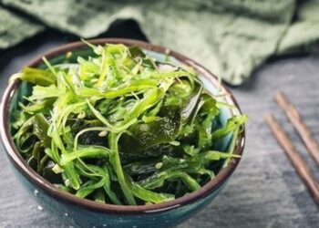 Boosting the algae industry in France