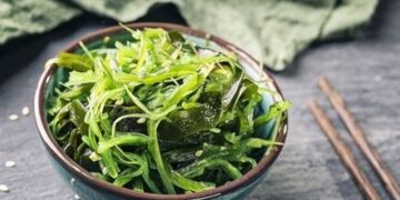 Boosting the algae industry in France