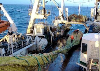 EU, global standards for fisheries data sharing
