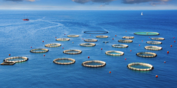 Fisheries and aquaculture A major role in food security