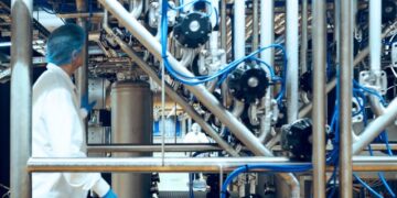 Phycom revolutionises the food industry with microalgae