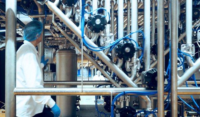 Phycom revolutionises the food industry with microalgae