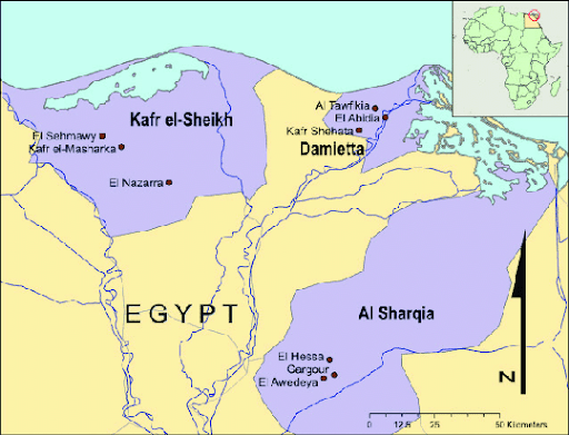 Map of northern part of Egypt including Kafr El-Sheikh governorate and the other areas dedicate to the Oreochromis niloticus (Nile tilapia) farming.