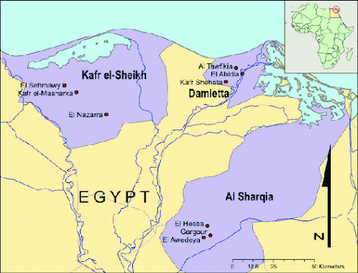 Map of northern part of Egypt including Kafr El-Sheikh governorate and the other areas dedicate to the Oreochromis niloticus (Nile tilapia) farming. Map of northern part of Egypt including Kafr El-Sheikh governorate and the other areas dedicate to the Oreochromis niloticus (Nile tilapia) farming.