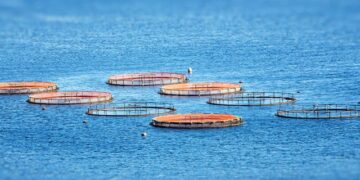 Aquaculture. Five priorities for global sustainability