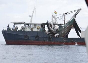 Cameroon strengthens shrimp industry