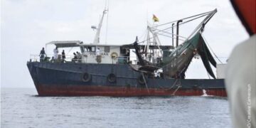 Cameroon strengthens shrimp industry