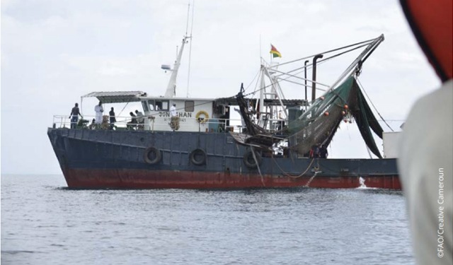 Cameroon strengthens shrimp industry