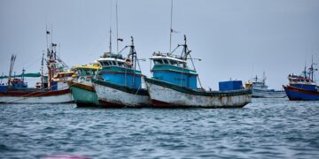 Global fishmeal and fish oil production falls