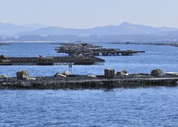 Spanish Aquaculture- Growth and Sustainability
