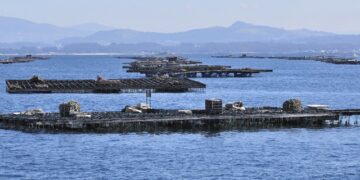 Spanish Aquaculture- Growth and Sustainability
